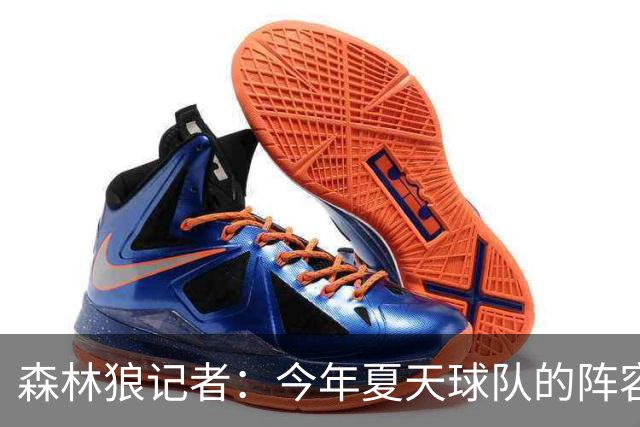 森林狼记者：今年夏天球队的阵容预计会有很大的变动